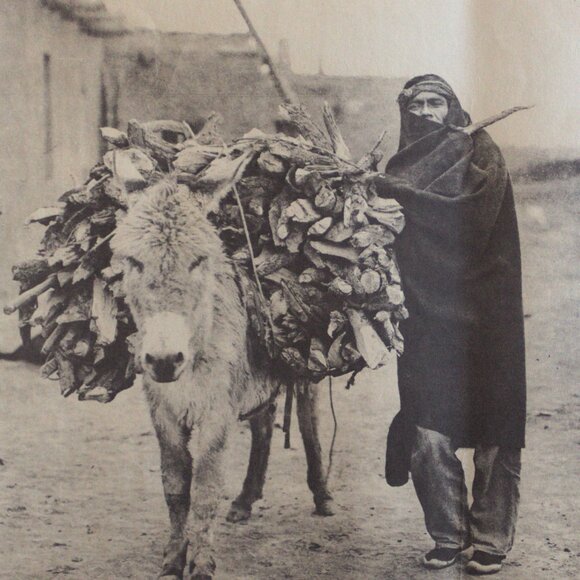 A LOAD OF FUEL - ZUÑI  #70 Edward Sheriff Curtis Print - Picture 4 of 15